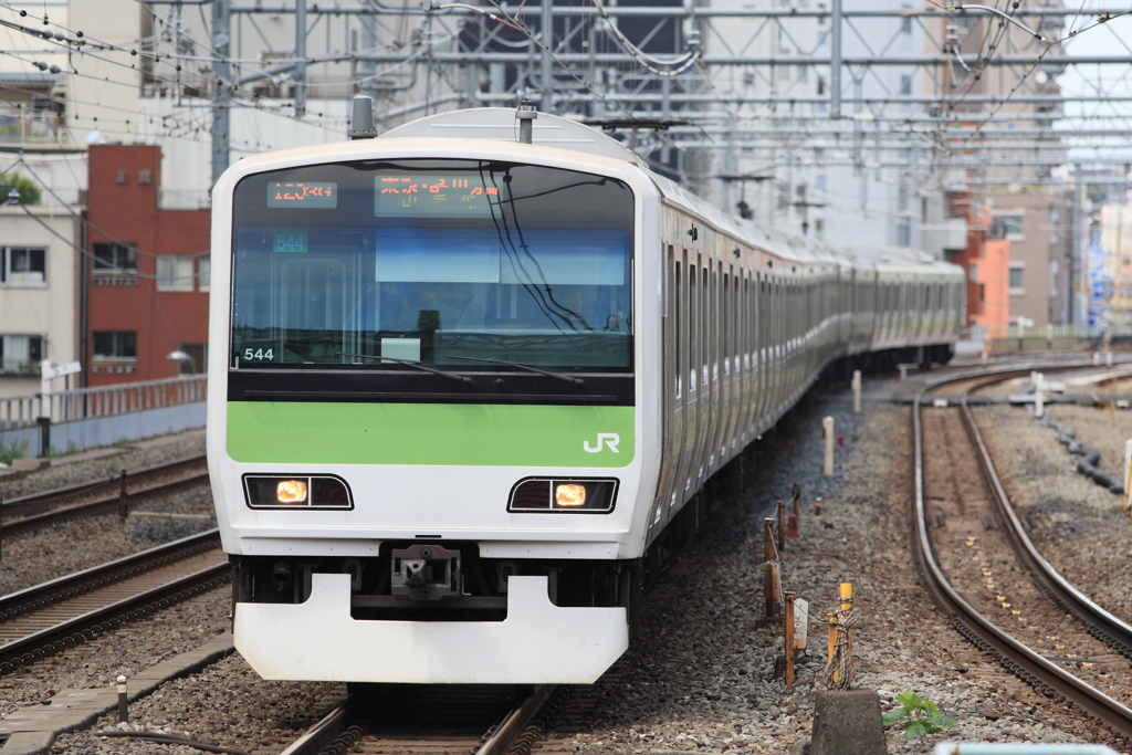 7F1Y2184