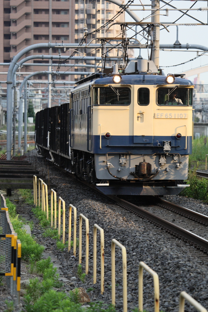 7F1Y5899