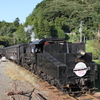 7F1Y7381