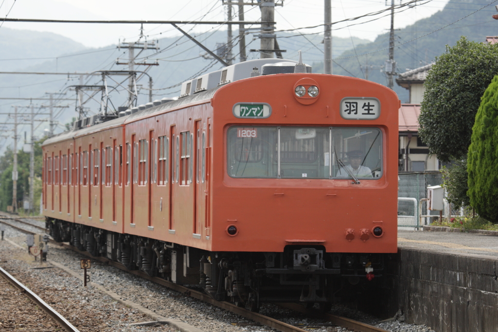 7F1Y6249