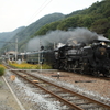 7F1Y6631