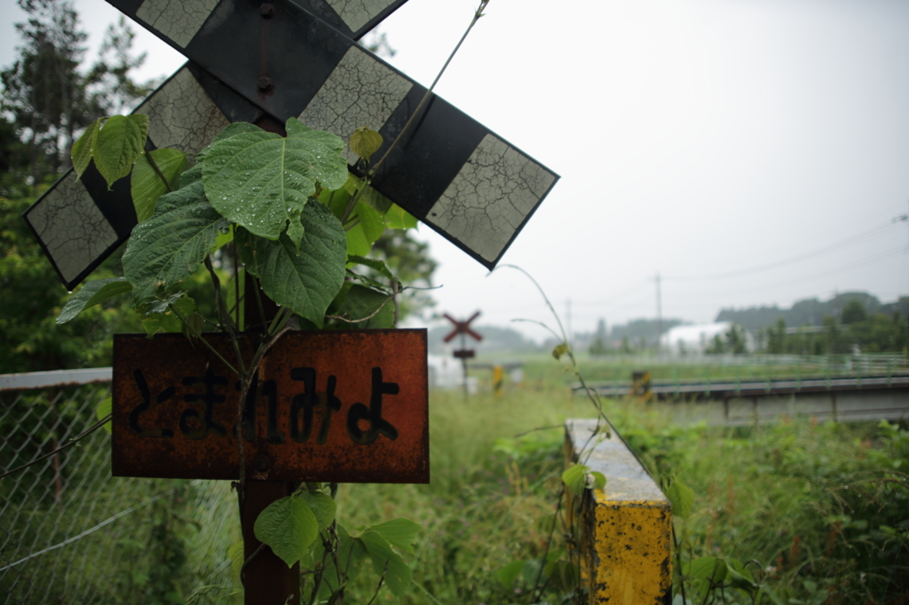 7T3A8921