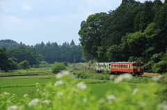 7T3A8815