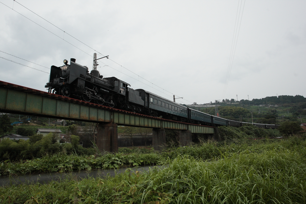 7F1Y6804