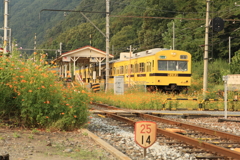 7F1Y6639