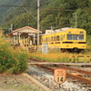 7F1Y6639