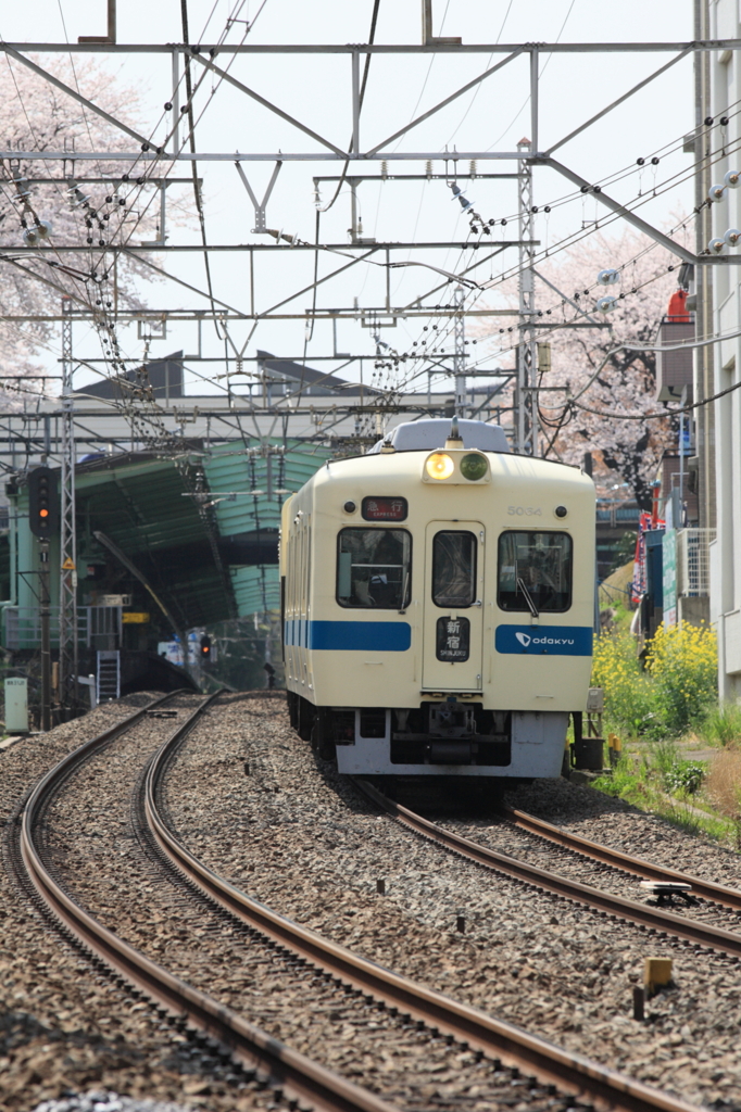 7F1Y9303