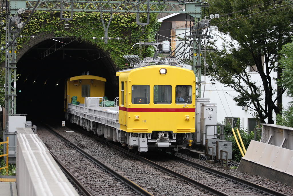 7F1Y6143