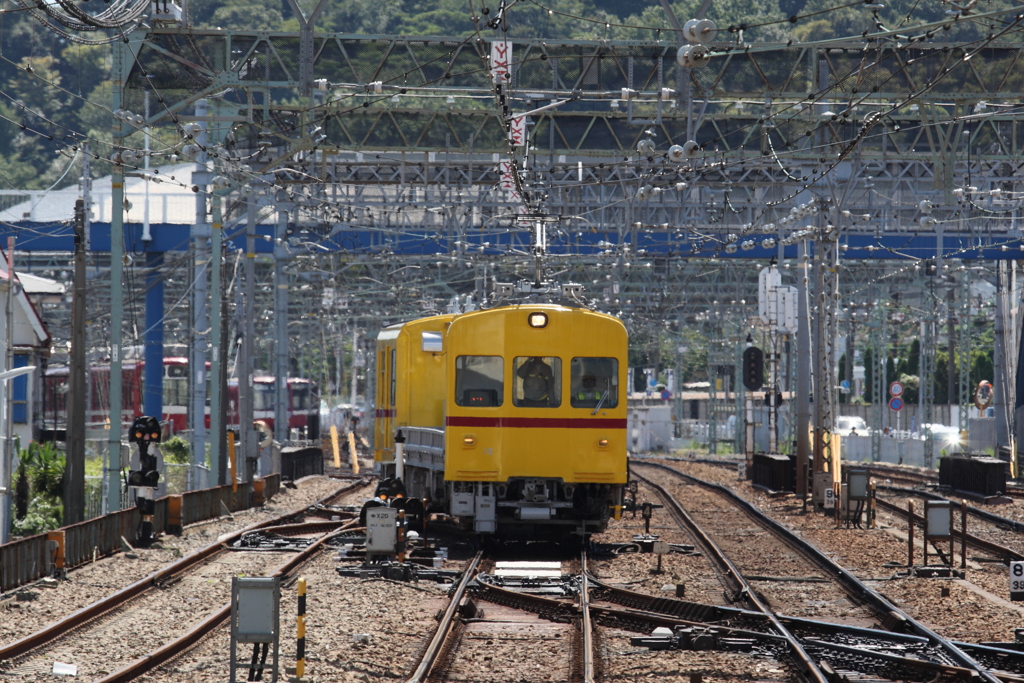 7F1Y5987