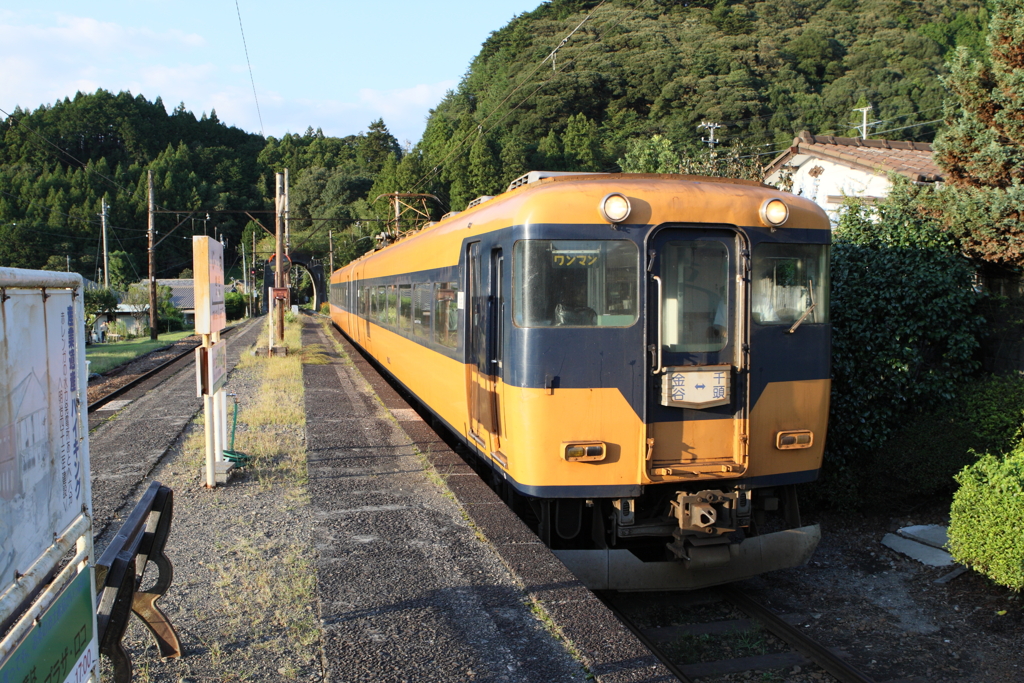 7F1Y7411