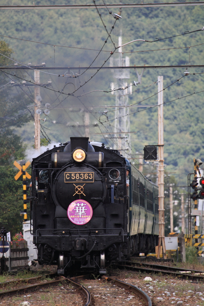 7F1Y6264