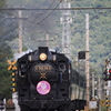 7F1Y6264