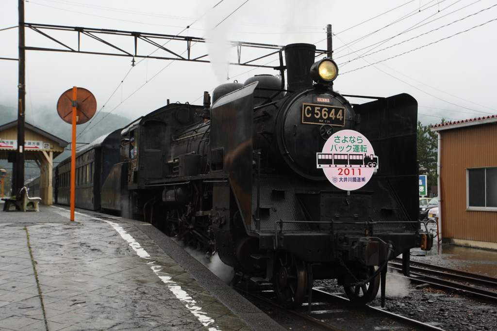7F1Y6825
