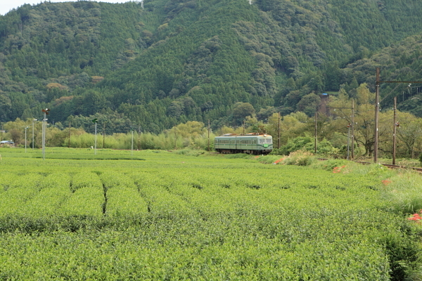 7F1Y7091