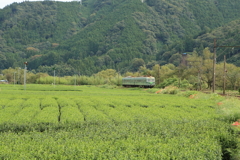 7F1Y7091