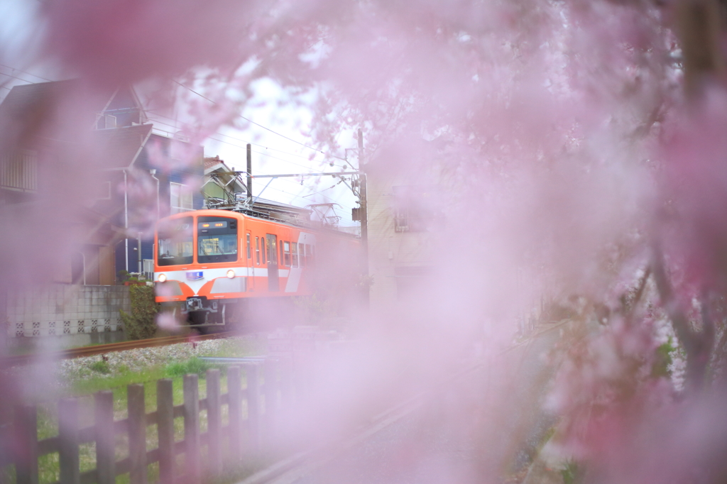 7T3A3511
