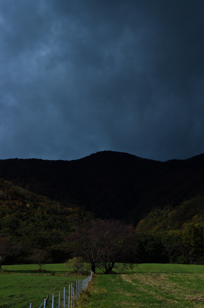 空と山と木と白い柵