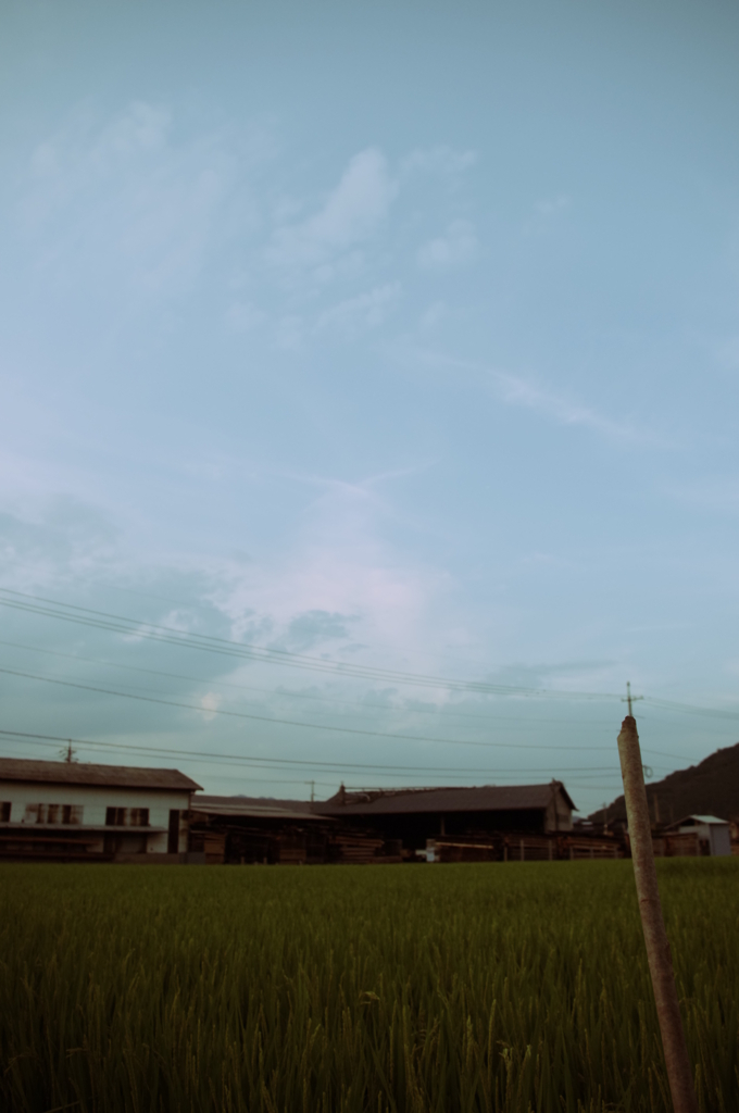 夏空