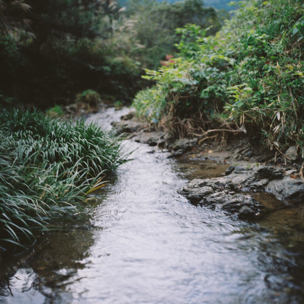 小川