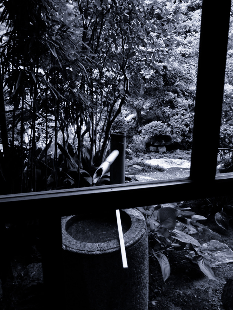 寺の庭にて