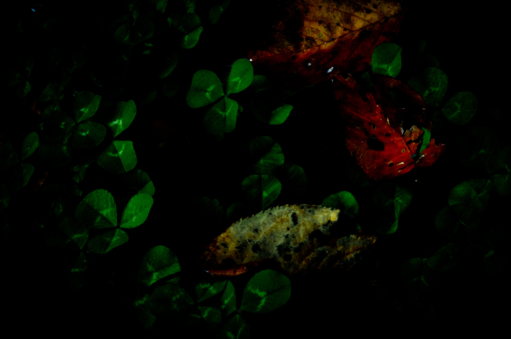 受け止めるひと