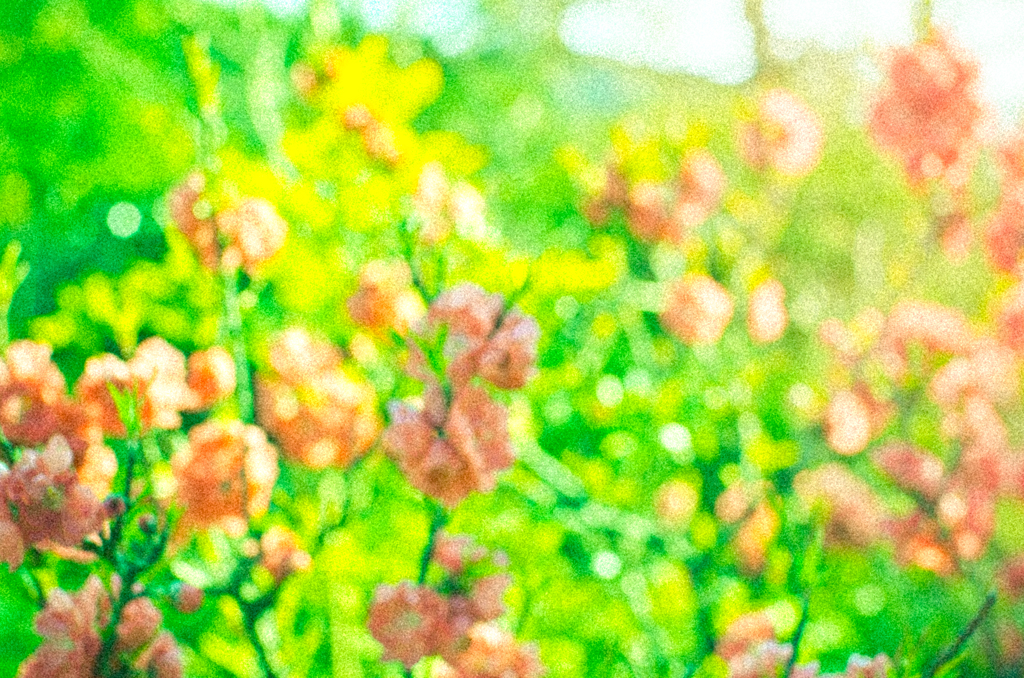梅