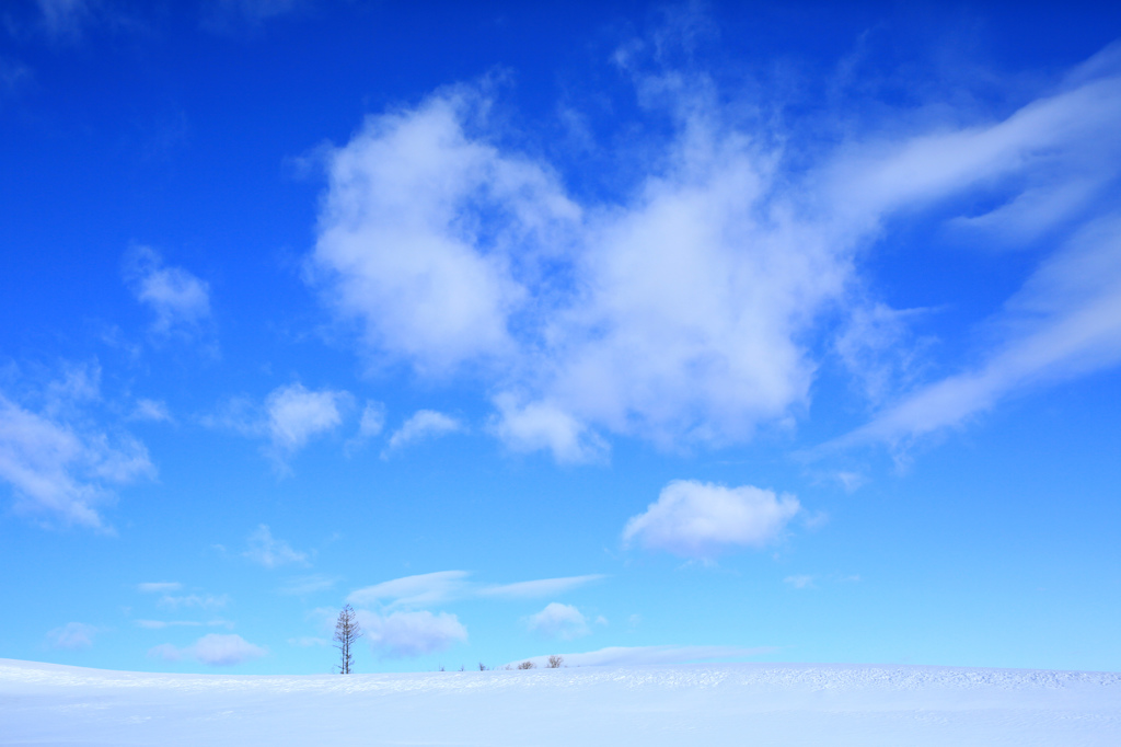 違いのわかる青