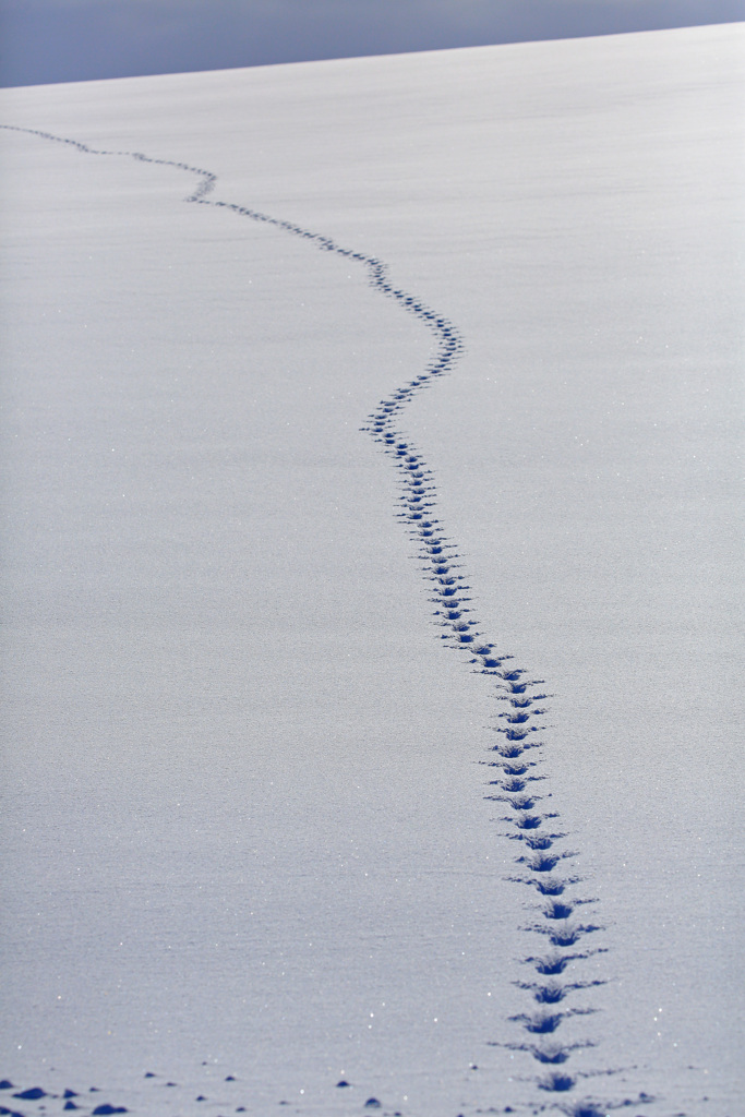 真冬の帰り道