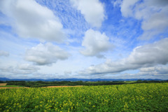 優しい雲