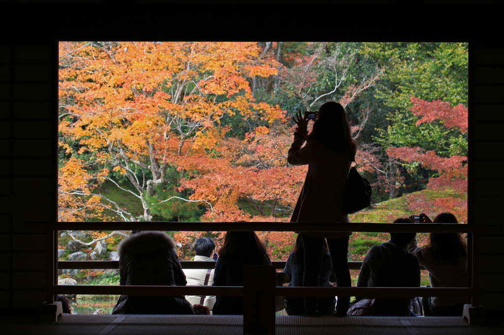 紅葉のような手