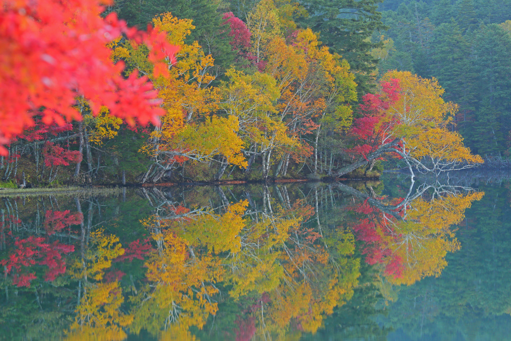 Water　Canvas
