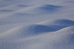 White　Gradation