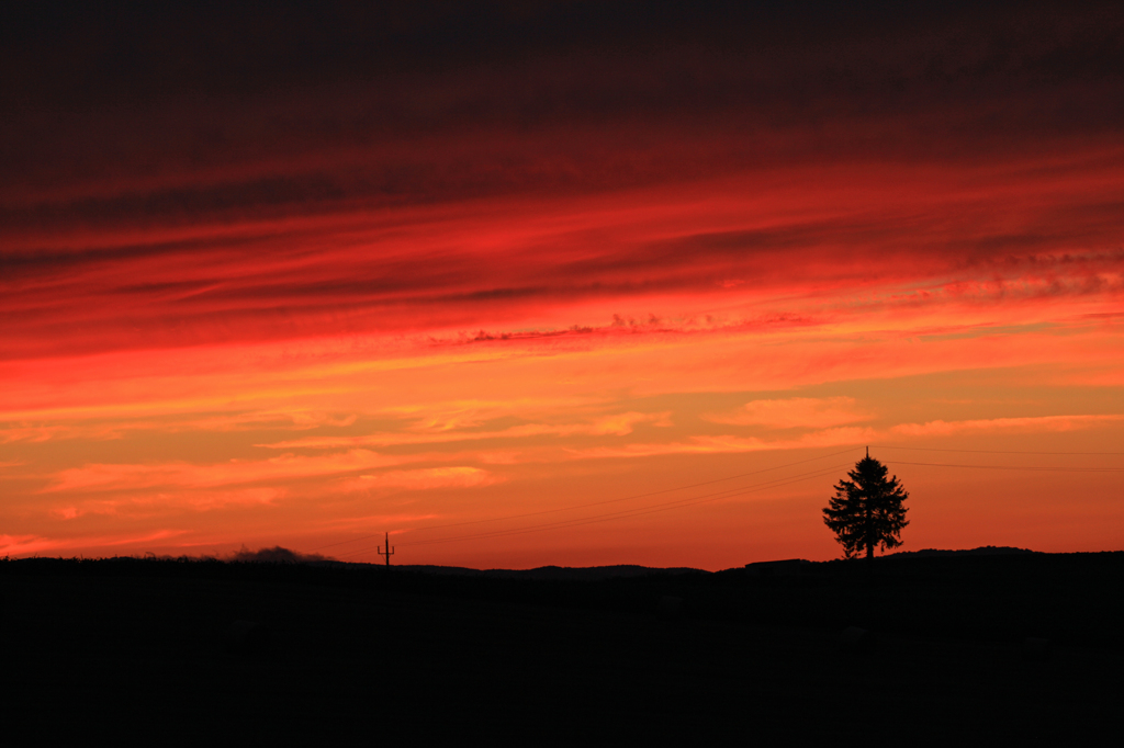 紅丘の美瑛　（５DⅡ）