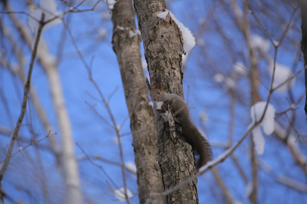 ちょっとビックリしてます。