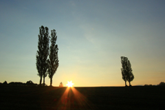 Sun　Star