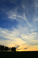 夏昏