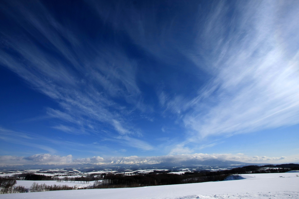 回想・・・厳冬の北海道