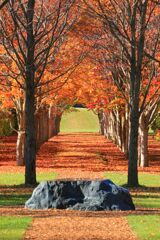 アートな空間　秋