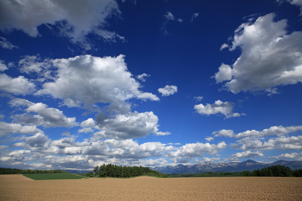 青い空 白い雲 by トムとジェリー （ID：8749616） - 写真共有サイト