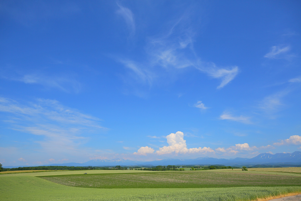 雲に誘われて