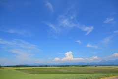 雲に誘われて