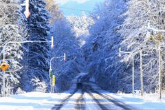 夏から一気に冬景色