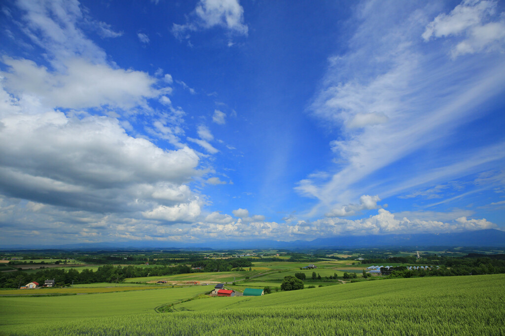 大地　夏彩