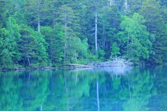 新緑の湖畔