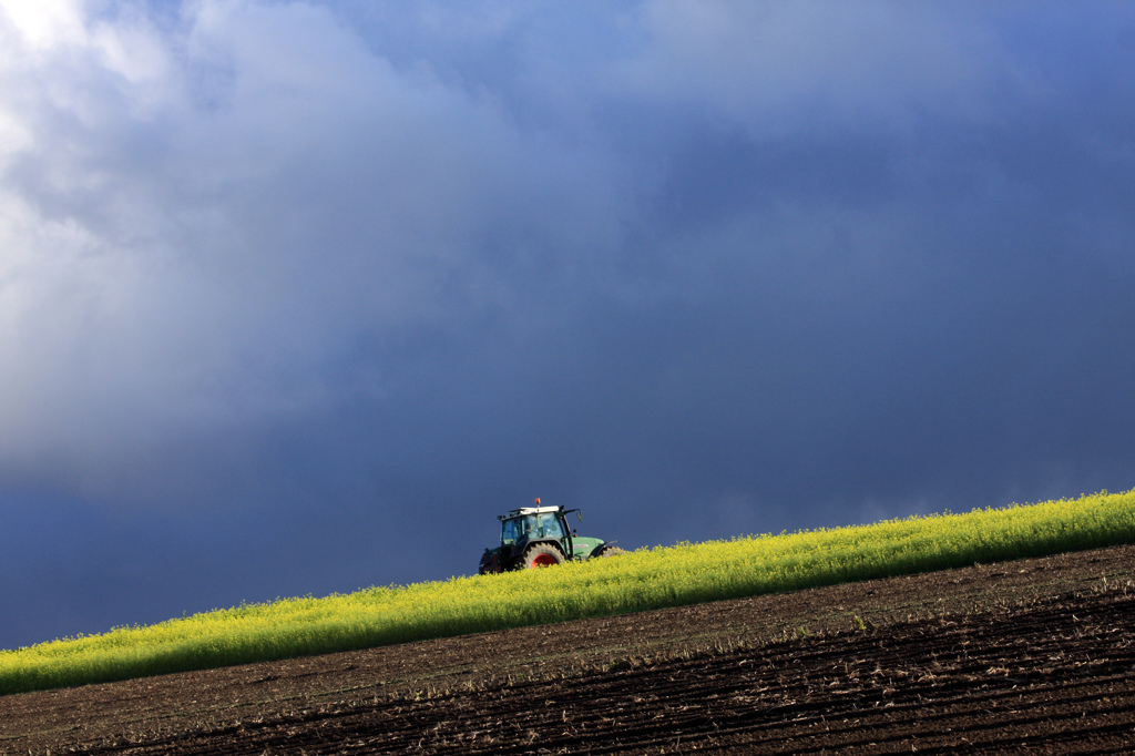 夕陽をあびて・・・