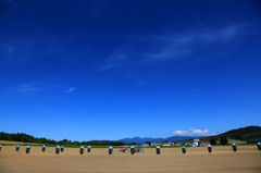 Oh! Blue sky blue sky