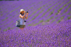 2018 北海道の夏より