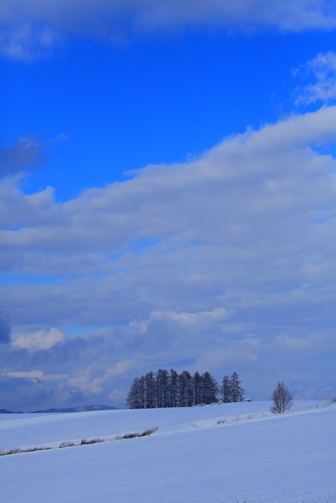 青と白の冬