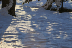 －１７℃の朝
