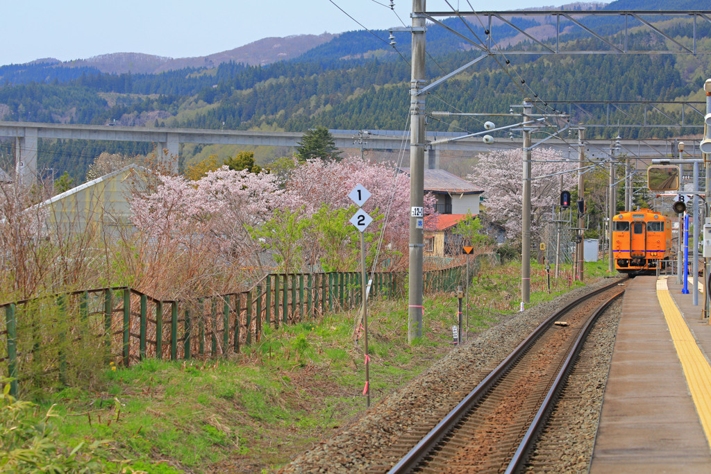 春彩列車